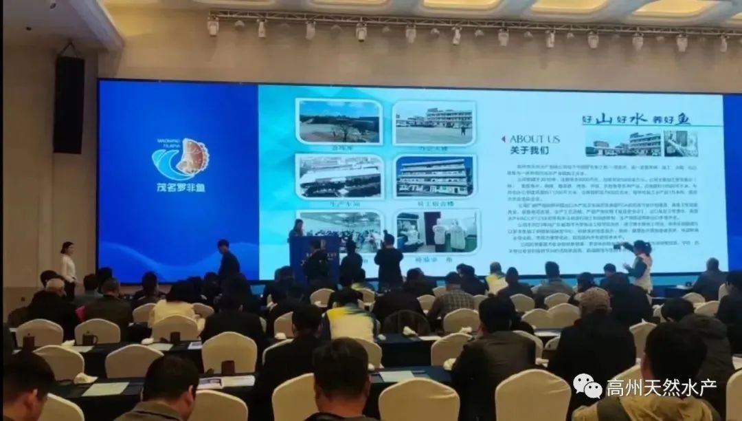 1729699269122216.jpg 6.jpg