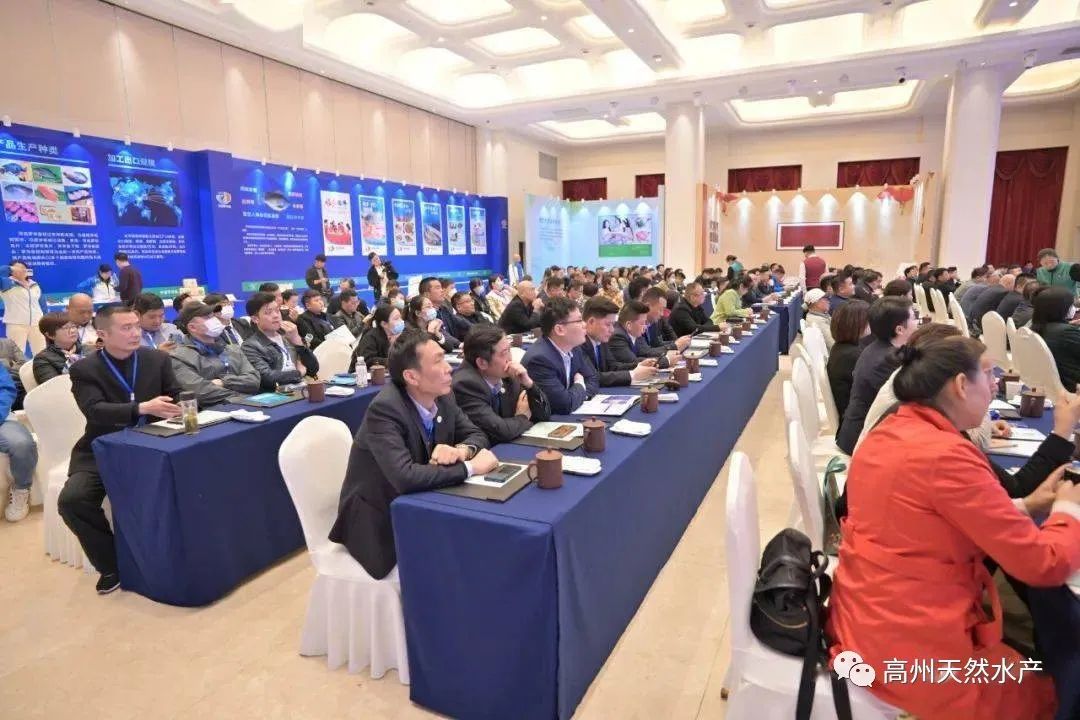 1729699285125850.jpg 8.jpg